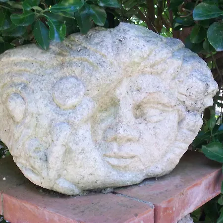 Ordile Salice