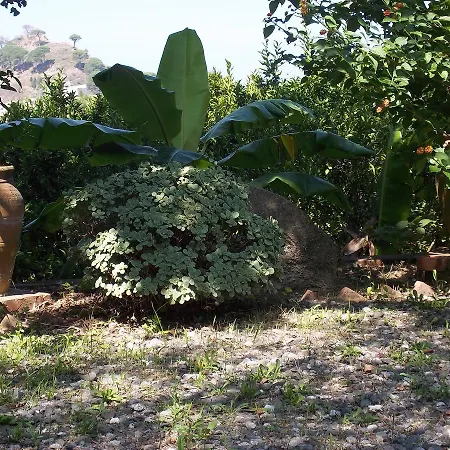 Ordile Bed & Breakfast